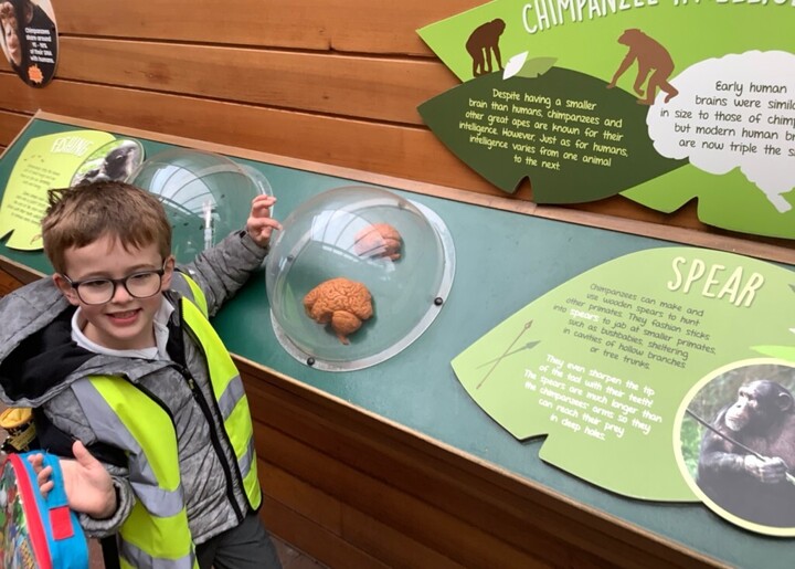 Colchester Zoo (Year 1)